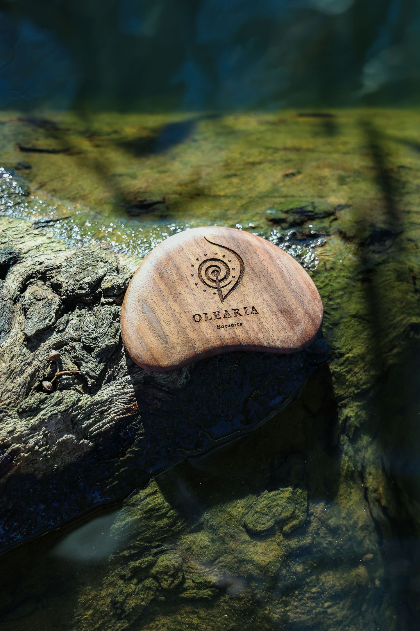 .: Face & Body Gua Sha :.