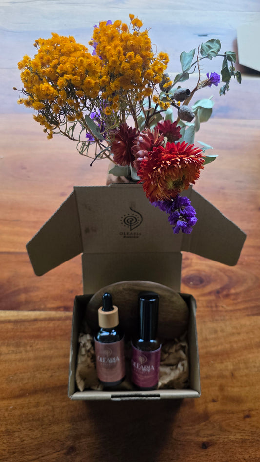 Native Plum & Gua Sha Bundle