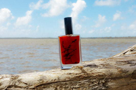 St John's Wort Oil- Seasonal